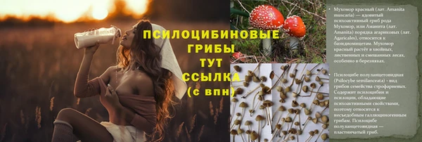 мяу мяу мука Аркадак