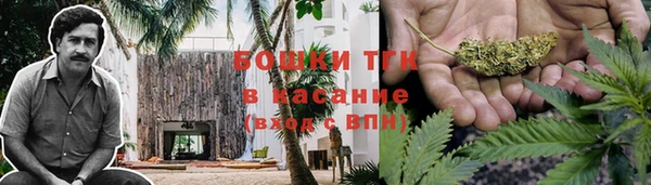 мяу мяу мука Аркадак