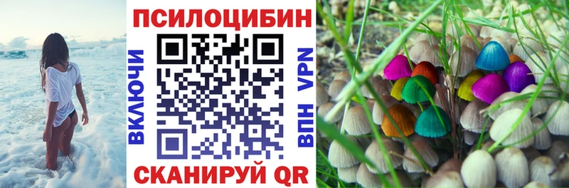 Галлюциногенные грибы Psilocybine cubensis  Тейково 